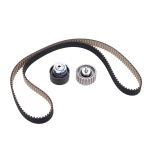 Kuggremssats Longlife-bälte DAYCO