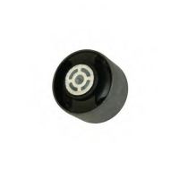 Bakre nedre motorfäste