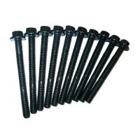 Cylinderhuvudsbultsats Ribe CV14