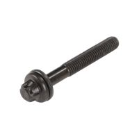 Cylinderhuvudskruv M8X1.25X57