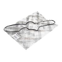 ventilkåpans packning