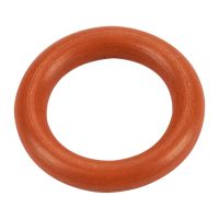 Oljestickans tätning nedan