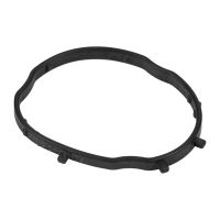 Tätningsring ventilkåpa kamaxelkontroll