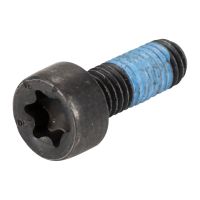 Svänghjulsbult sträckbult M8x1,25