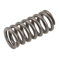 Ventilfjäder 1.3 JTD