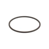 Packning för bränslefiltret