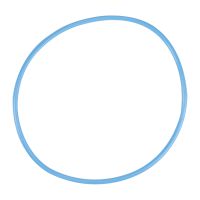 Dichtung Kraftstoffpumpe im Tank