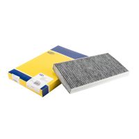 Interiört aktivt kolfilter Magneti Marelli