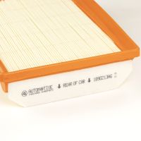 Luftfiltereinsatz L=246 B=174 H=50 mm