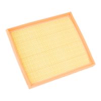 Luftfilter PSA OE 9802348680