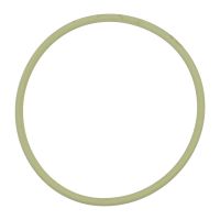 Spjällhusets tätningsring