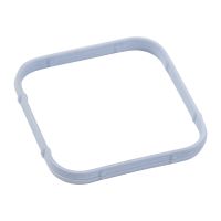 Tätningsring insugningsgrenrör