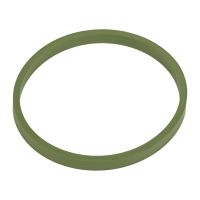 Tätningsring insugningsgrenrör gasventil