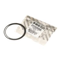 Packning avgasgrenrör PSA OE 1607440680