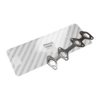 avgasgrenrörs packning