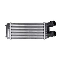 Intercooler 300-159-80mm