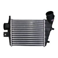 Intercooler 243-202-64mm