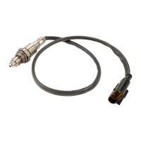 Lambdasond efter Kat Original FCA 55249077