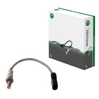 Lambdasond framför katt