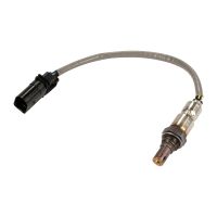 Lambdasond framför katten OE 55281072