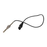 Sensor, avgastemperaturer