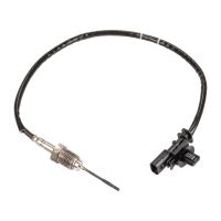 Avgasgivare, temperaturgivare