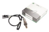 Lambdasond framför katt