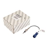 Temperatursensor EGR-ventil