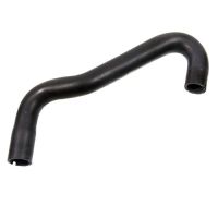 Kylarslang uppe till höger