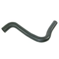 Kylarslang uppe till vänster