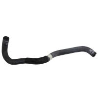 Kylarslang uppe till vänster