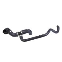 Kylarslang i botten av kylaren