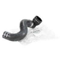 Kylarslang i botten av kylaren