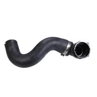 Kylarslang i botten av kylaren