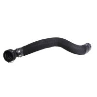 Kylarslang i botten av kylaren