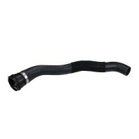 Kylarslang i toppen av kylaren