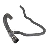 Kylarslang i botten av kylaren