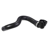 Kylarslang i botten av kylaren