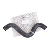 Kylarslang uppe till vänster