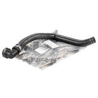 Kylarslang på kylaren