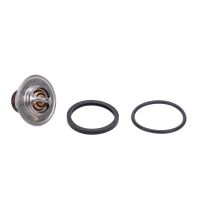 Termostat 91° vintertermostat