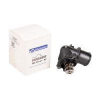 Termostat med fodral