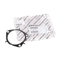 vattenpumpens tätning