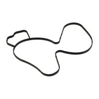 vattenpumpens tätning