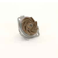 Magneti Marelli vattenpump