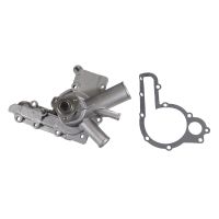Magneti Marelli vattenpump