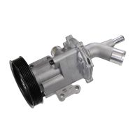 Magneti Marelli vattenpump