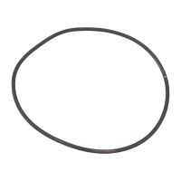 O-Ring Wasserpumpe