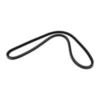 Kraftig kilrem 10A1050C DAYCO