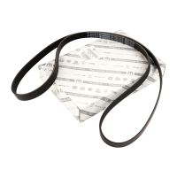 Flerspårsrem 6K1856